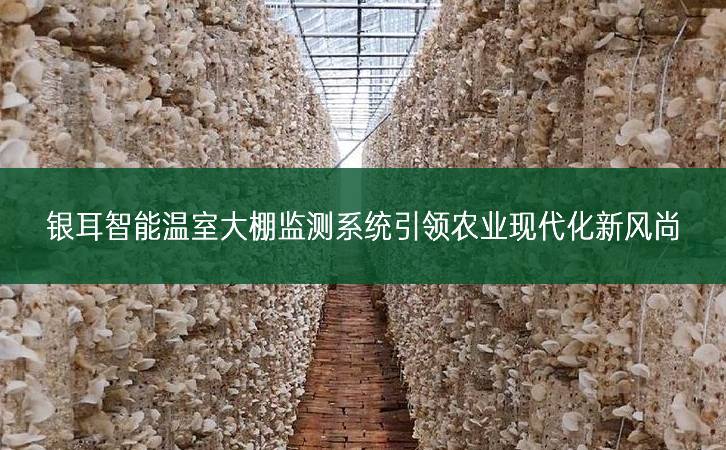 銀耳智能溫室大棚監(jiān)測系統(tǒng)引領(lǐng)農(nóng)業(yè)現(xiàn)代化新風(fēng)尚