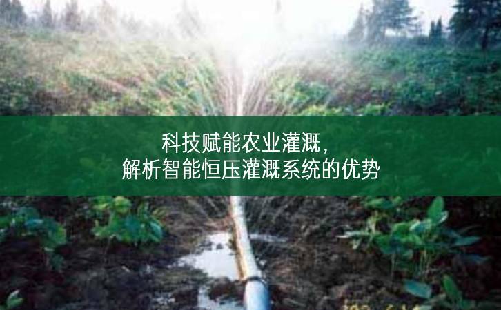 科技賦能農業灌溉，解析智能恒壓灌溉系統的優勢