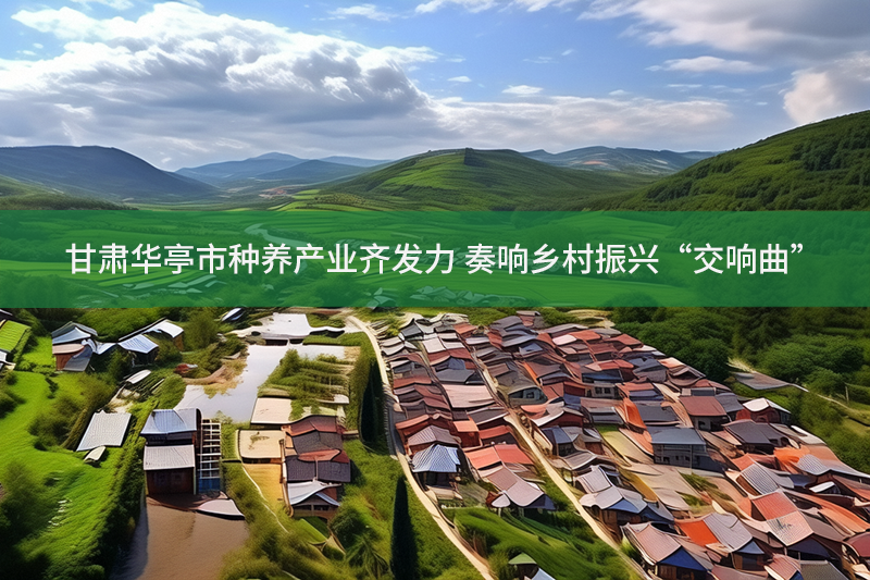 甘肅華亭市種養產業齊發力 奏響鄉村振興“交響曲”