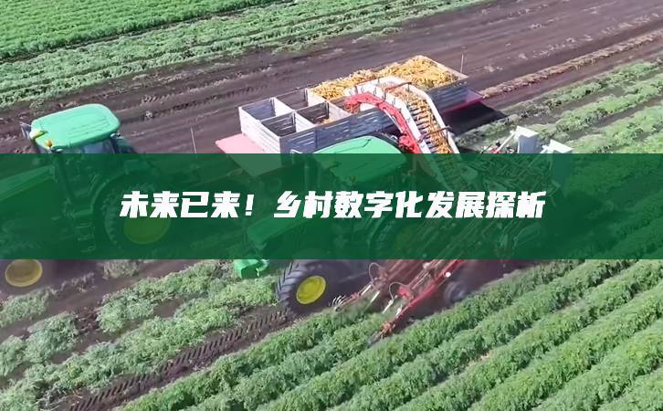 未來已來!鄉(xiāng)村數(shù)字化發(fā)展探析