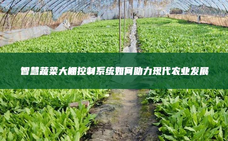 智慧蔬菜大棚控制系統如何助力現代農業發展