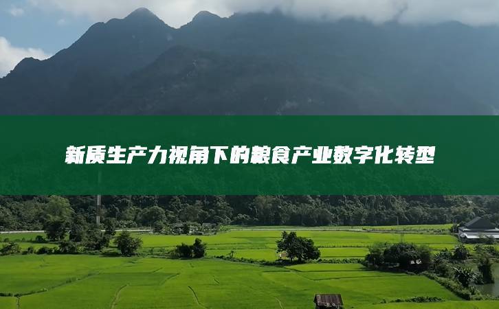 新質(zhì)生產(chǎn)力視角下的糧食產(chǎn)業(yè)數(shù)字化轉(zhuǎn)型