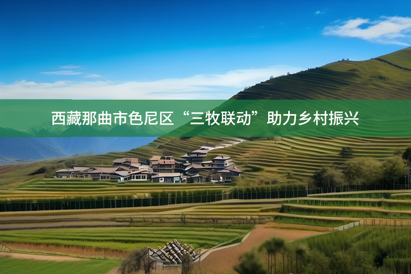 西藏那曲市色尼區(qū)“三牧聯(lián)動”助力鄉(xiāng)村振興