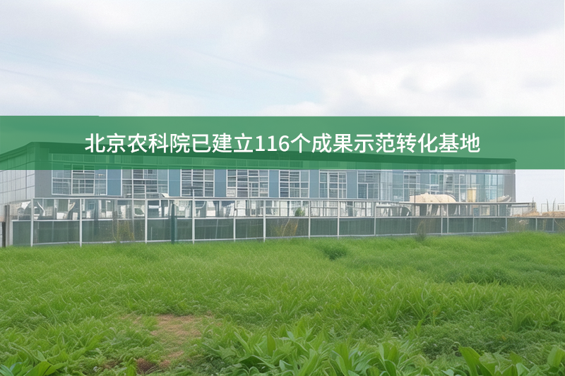 北京農(nóng)科院已建立116個成果示范轉(zhuǎn)化基地