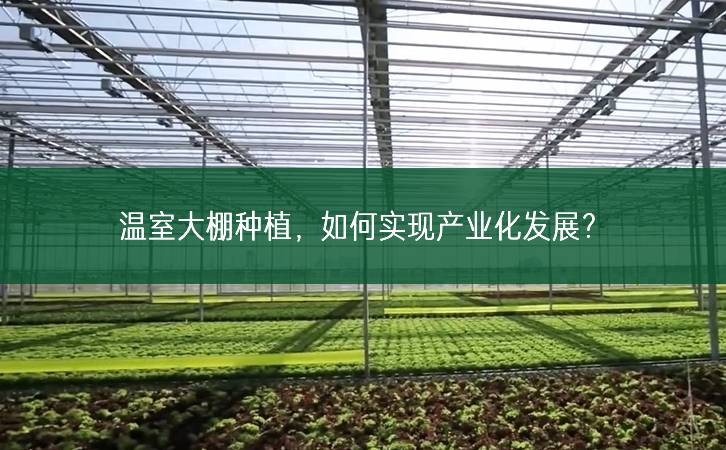 溫室大棚種植,如何實現產業化發展?