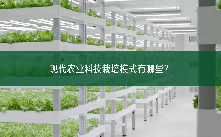 現代農業科技栽培模式有哪些?