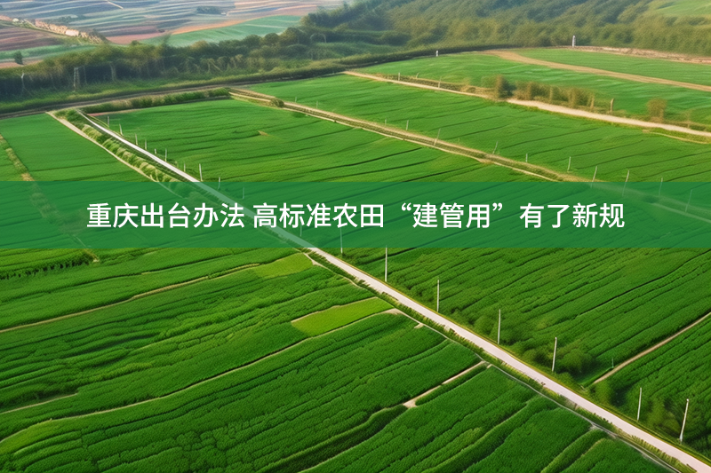 重慶出臺(tái)辦法 高標(biāo)準(zhǔn)農(nóng)田“建管用”有了新規(guī)