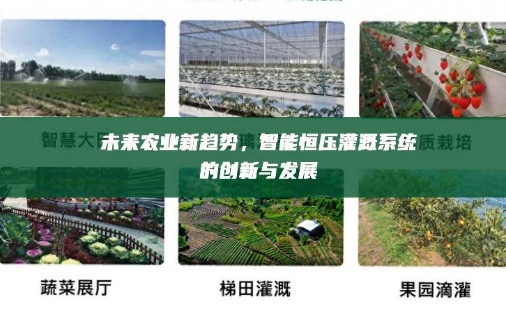 未來農業新趨勢，智能恒壓灌溉系統的創新與發展