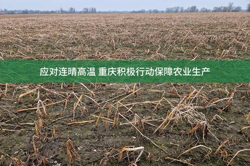 應對連晴高溫 重慶積極行動保障農業(yè)生產