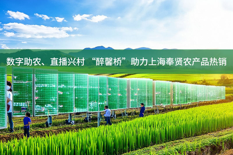 數字助農、直播興村 “醉馨橋”助力上海奉賢農產品熱銷