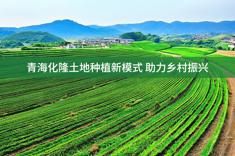 青海化隆土地種植新模式 助力鄉(xiāng)村振興