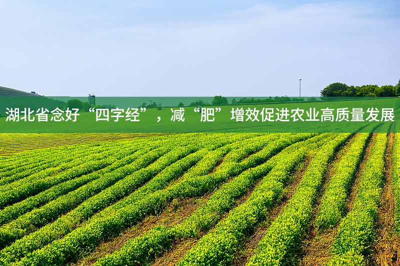 湖北省念好“四字經”，減“肥”增效促進農業高質量發展