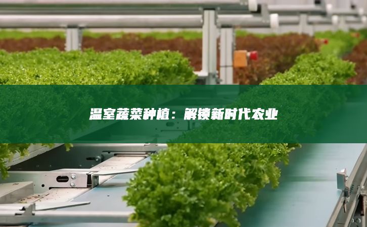 溫室蔬菜種植：解鎖新時代農(nóng)業(yè)