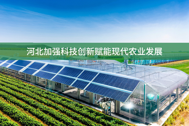 河北加強科技創新賦能現代農業發展