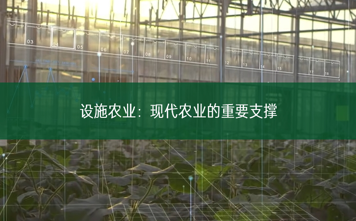 設施農業：現代農業的重要支撐