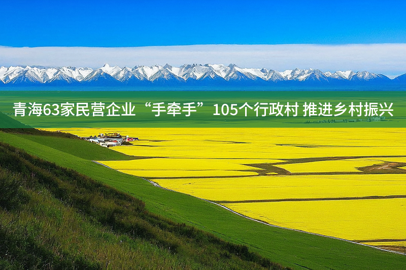 青海63家民營企業“手牽手”105個行政村 推進鄉村振興