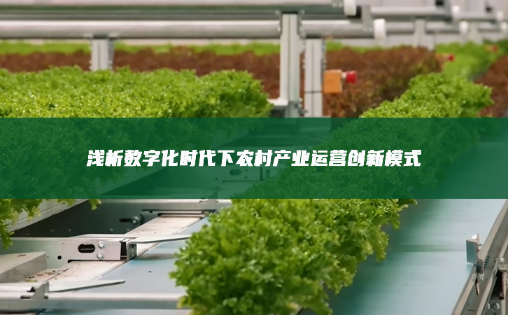 淺析數(shù)字化時(shí)代下農(nóng)村產(chǎn)業(yè)運(yùn)營創(chuàng)新模式