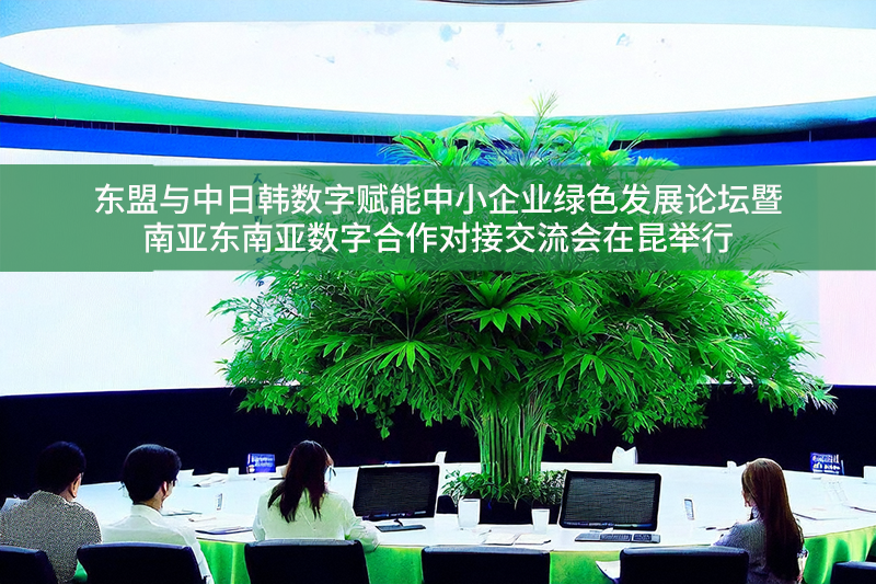 東盟與中日韓數字賦能中小企業綠色發展論壇暨南亞東南亞數字合作對接交流會在昆舉行