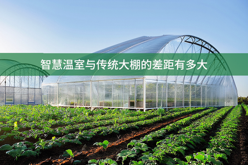 智慧溫室與傳統大棚的差距有多大