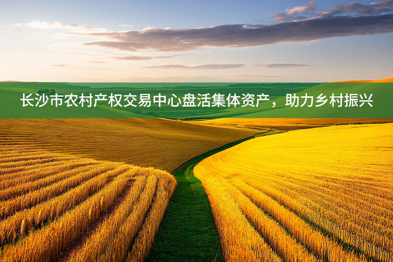長沙市農村產權交易中心盤活集體資產，助力鄉村振興