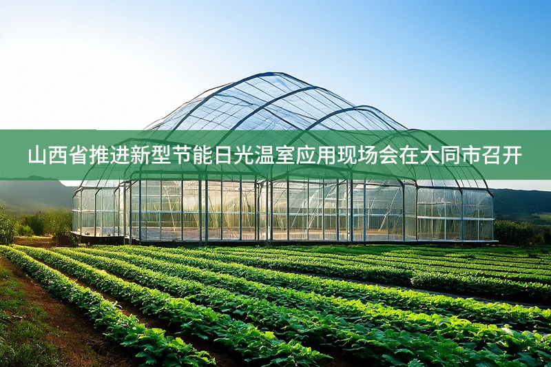 山西省推進新型節能日光溫室應用現場會在大同市召開