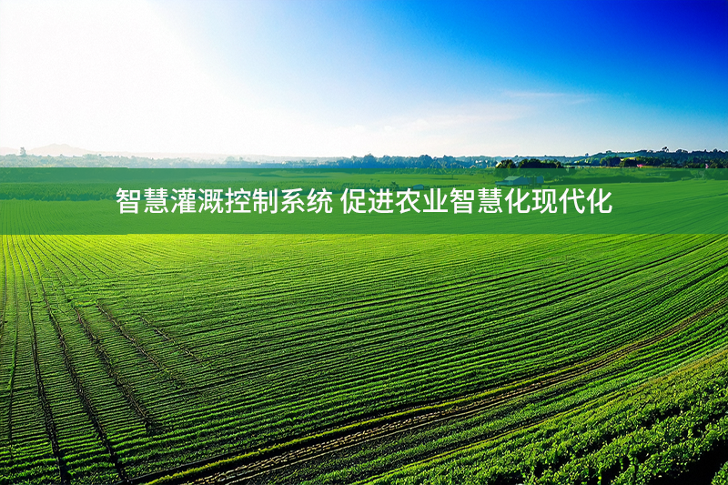 智慧灌溉控制系統 促進農業智慧化現代化