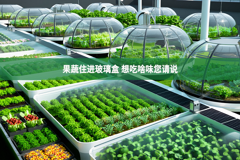 果蔬住進玻璃盒 想吃啥味您請說