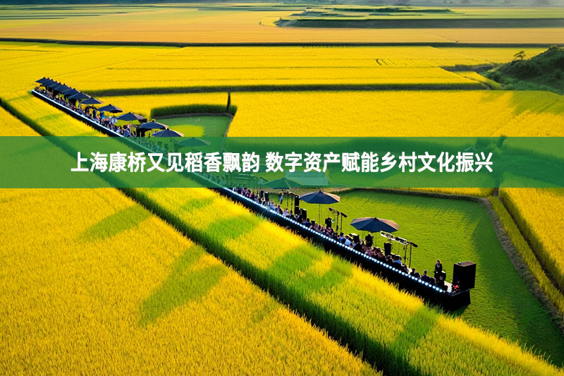 上?？禈蛴忠姷鞠泔h韻 數字資產賦能鄉村文化振興