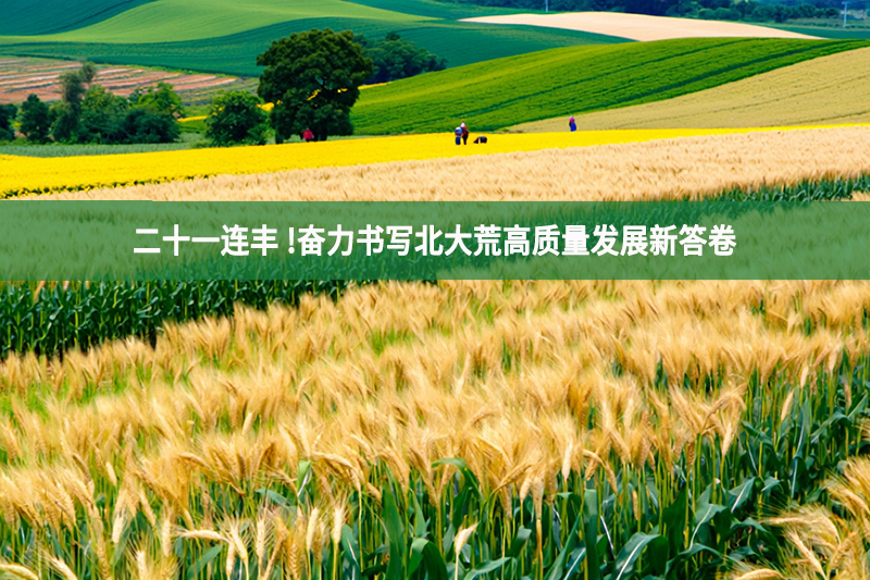 二十一連豐 !奮力書寫北大荒高質量發展新答卷