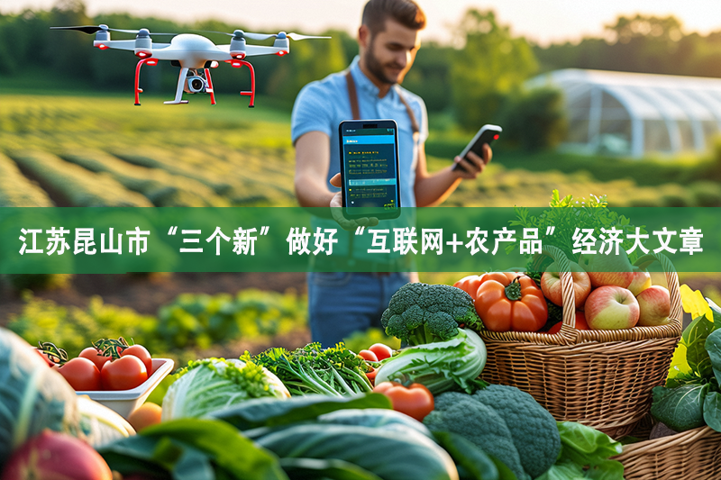 江蘇昆山市“三個新”做好“互聯網+農產品”經濟大文章