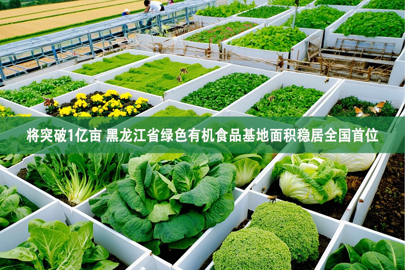 將突破1億畝 黑龍江省綠色有機食品基地面積穩(wěn)居全國首位