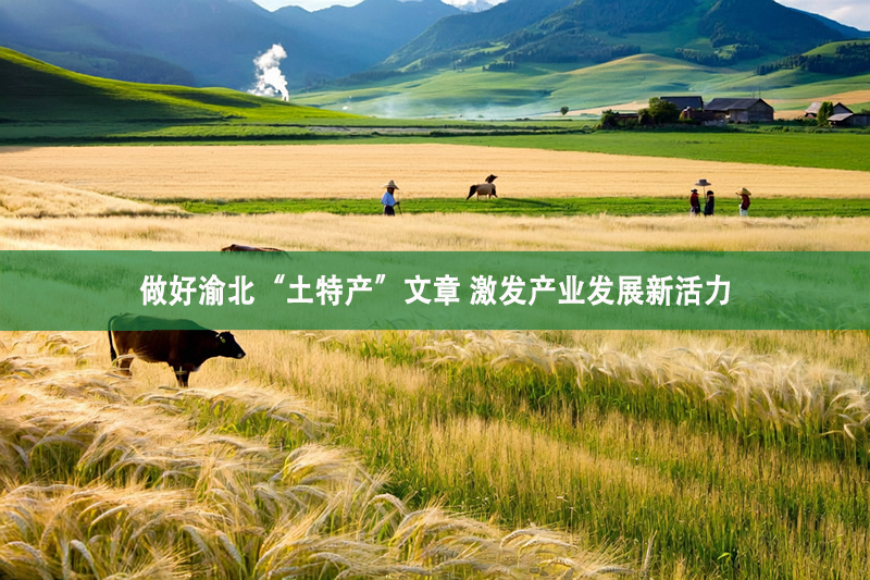 做好渝北“土特產(chǎn)”文章 激發(fā)產(chǎn)業(yè)發(fā)展新活力