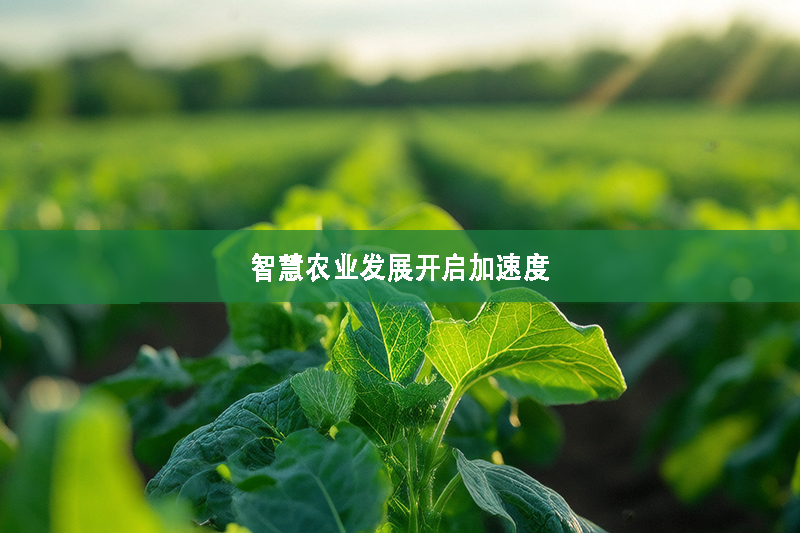智慧農(nóng)業(yè)發(fā)展開啟加速度
