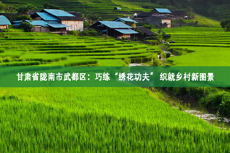 甘肅省隴南市武都區：巧練“繡花功夫” 織就鄉村新圖景