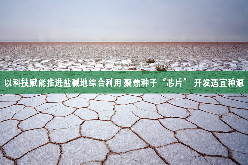 以科技賦能推進鹽堿地綜合利用 聚焦種子“芯片” 開發適宜種源