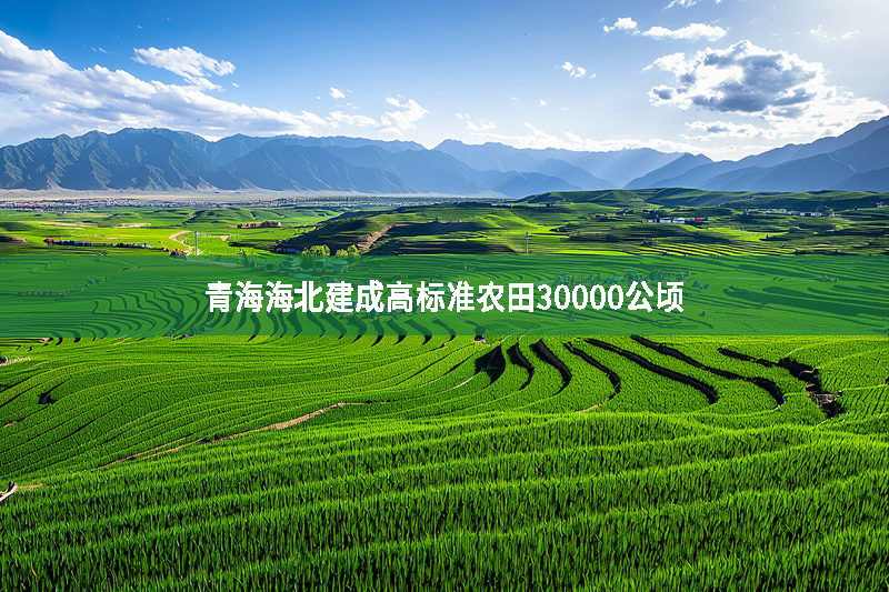 青海海北建成高標準農田30000公頃