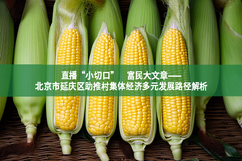 直播“小切口”　富民大文章——北京市延慶區(qū)助推村集體經(jīng)濟多元發(fā)展路徑解析