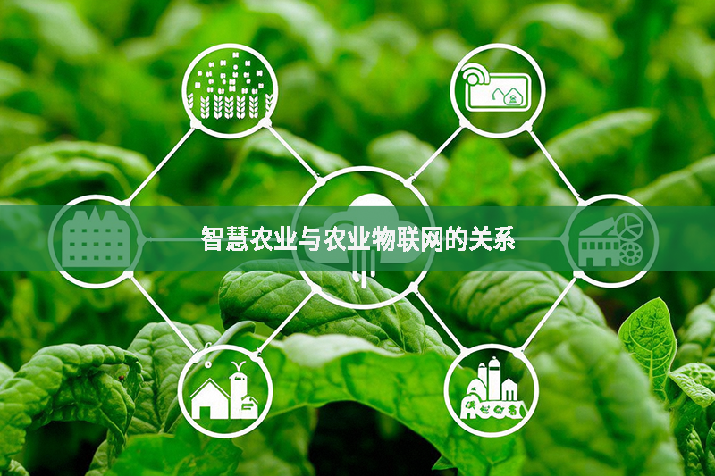 智慧農業與農業物聯網的關系