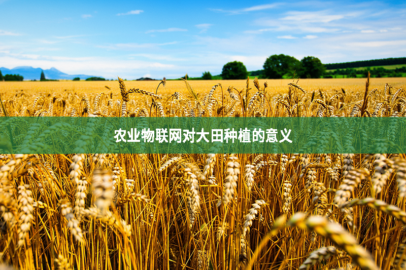 農業物聯網對大田種植的意義