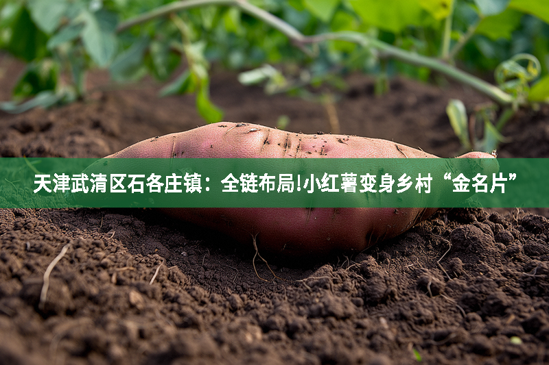 就這樣吧，我自己用賬號刷4-5個點(diǎn)贊量