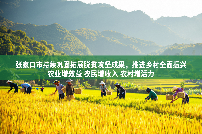 張家口市持續鞏固拓展脫貧攻堅成果，推進鄉村全面振興農業增效益 農民增收入 農村增活力