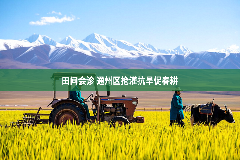 田間會診 通州區搶灌抗旱促春耕