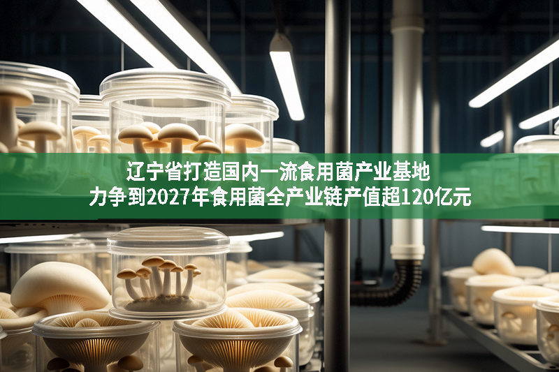 遼寧省打造國內一流食用菌產業基地 力爭到2027年食用菌全產業鏈產值超120億元