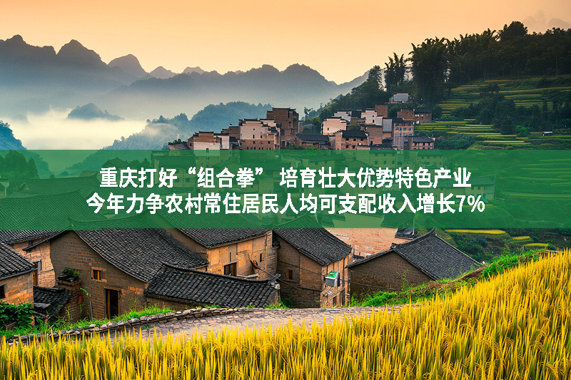 重慶打好“組合拳” 培育壯大優勢特色產業 今年力爭農村常住居民人均可支配收入增長7%