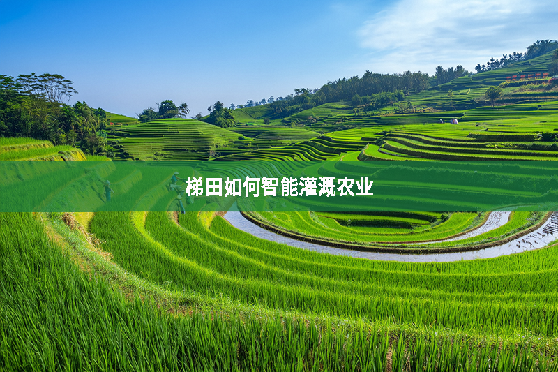 梯田如何智能灌溉農業