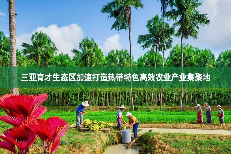 三亞育才生態(tài)區(qū)加速打造熱帶特色高效農(nóng)業(yè)產(chǎn)業(yè)集聚地
