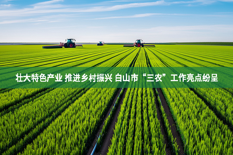 壯大特色產(chǎn)業(yè) 推進(jìn)鄉(xiāng)村振興 白山市“三農(nóng)”工作亮點(diǎn)紛呈