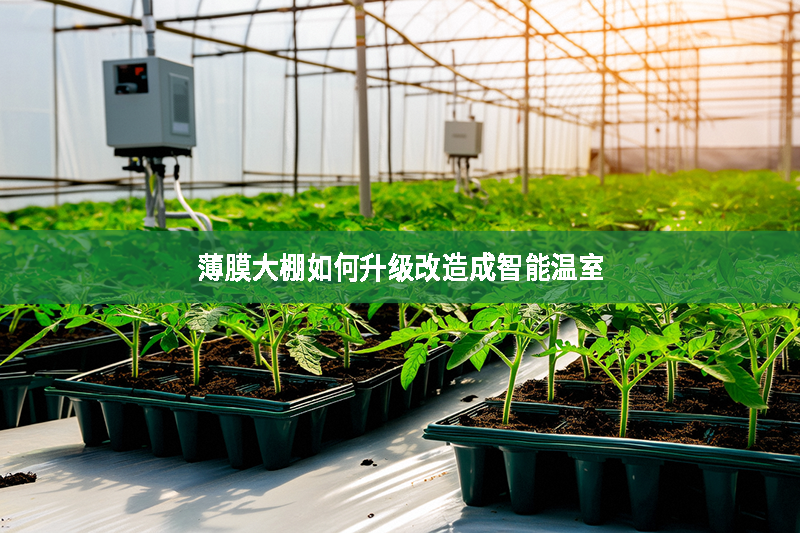 薄膜大棚如何升級改造成智能溫室