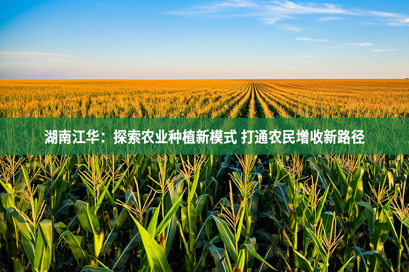 湖南江華：探索農(nóng)業(yè)種植新模式 打通農(nóng)民增收新路徑
