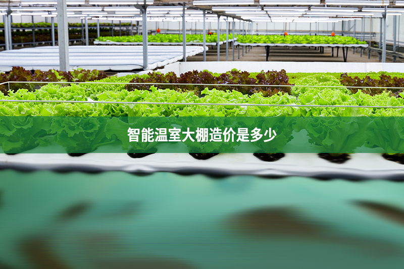 智能溫室大棚造價是多少